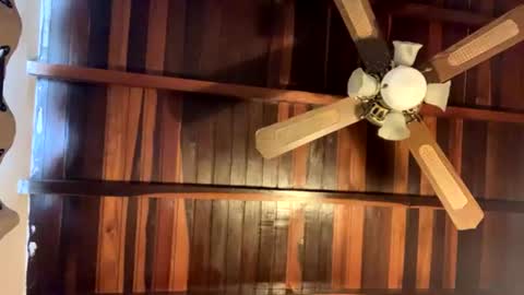 Snapshot of juan_bunny chatting on 16, 6, 2026 lJuanl online show from 16, 6, 2026