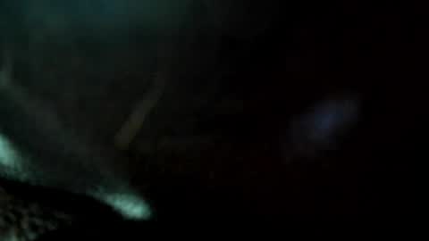 Snapshot of juanmanuelgate chatting on 24, 5, 2026 Juan Manuel online show from 24, 5, 2026
