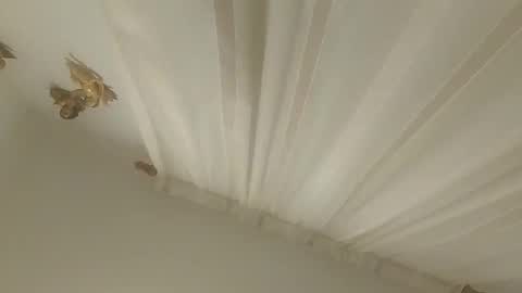 Snapshot of juanmapapiirico chatting on 14, 11, 2025 JuanmaSEX online show from 14, 11, 2025