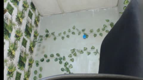 Snapshot of juicy_gold22 chatting on 13, 2, 2025 Mariagold online show from 13, 2, 2025