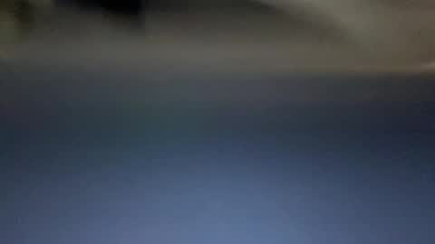 Daddy Tiger online show from 15, 9, 2025