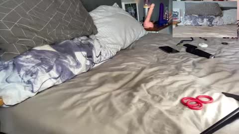 Daddy Tiger online show from 15, 9, 2025