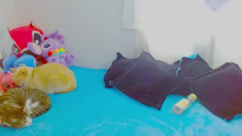 Snapshot of juli_69 chatting on 7, 1, 2026 Juliana Torres online show from 7, 1, 2026