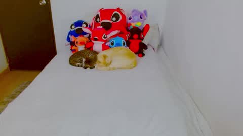 Snapshot of juli_69 chatting on 25, 2, 2026 Juliana Torres online show from 25, 2, 2026