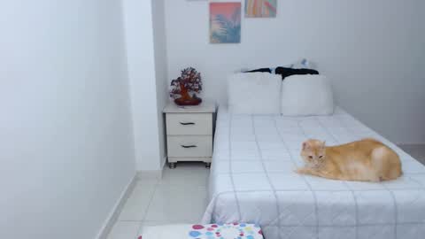 julia online show from 30, 12, 2024