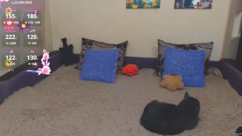 Snapshot of juliasane_ chatting on 21, 2, 2026 Jul online show from 21, 2, 2026