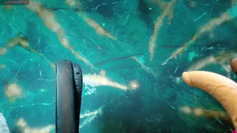    online show from 27, 9, 2025