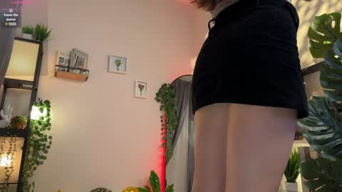 Julie online show from 16, 12, 2024