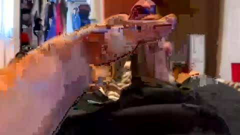 Snapshot of jussumwun chatting on 1, 1, 2025 jussumwun online show from 1, 1, 2025