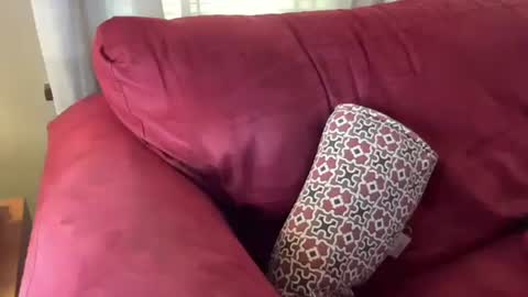 Flirty influncer online show from 1, 3, 2025