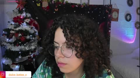 Snapshot of just_katiex chatting on 31, 12, 2024 Sofia online show from 31, 12, 2024