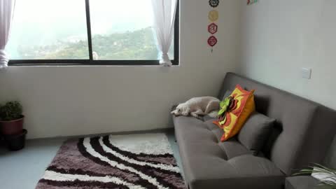 Snapshot of just_katiex chatting on 7, 3, 2025 Sofia online show from 7, 3, 2025