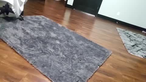 Snapshot of justaskforbiga chatting on 15, 1, 2026 Tohiptwoquit online show from 15, 1, 2026