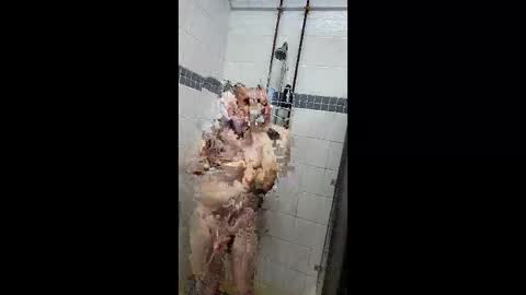 Snapshot of justatoysoldier1973 chatting on 7, 4, 2026 Just a Toy Soldier online show from 7, 4, 2026