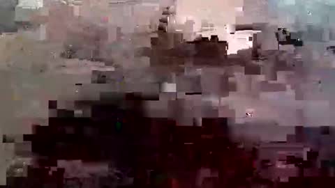 justcdshh online show from 24, 5, 2026