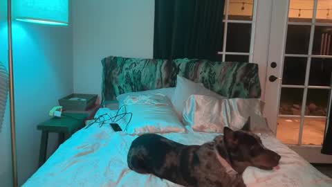 Snapshot of kaileeshy chatting on 10, 2, 2026 Kailee Smile online show from 10, 2, 2026