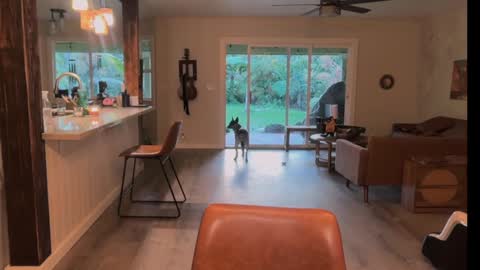 Snapshot of kaileeshy chatting on 21, 3, 2026 Kailee Smile online show from 21, 3, 2026