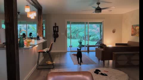 Snapshot of kaileeshy chatting on 28, 3, 2026 Kailee Smile online show from 28, 3, 2026