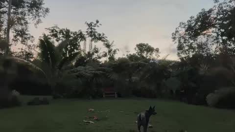 Snapshot of kaileeshy chatting on 24, 4, 2026 Kailee Smile online show from 24, 4, 2026