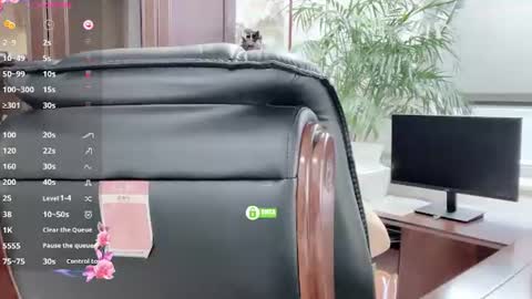 Snapshot of kaixin520 chatting on 13, 6, 2026 Kaixin online show from 13, 6, 2026