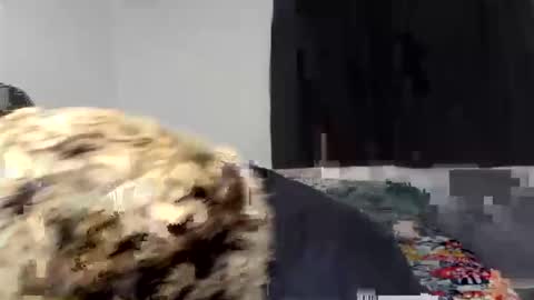 Snapshot of kammy_cami chatting on 9, 4, 2026 kammy y camila online show from 9, 4, 2026