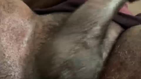 Snapshot of karadi5 chatting on 5, 12, 2024 Snookie online show from 5, 12, 2024