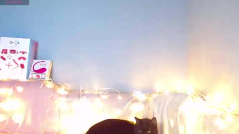 Kira online show from 12, 1, 2025