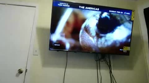 Snapshot of kashmoniy chatting on 11, 2, 2025 kashmoniy online show from 11, 2, 2025