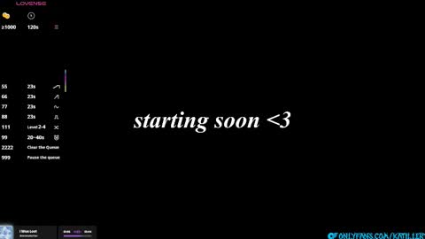 Snapshot of katillery chatting on 16, 1, 2026 Katie online show from 16, 1, 2026