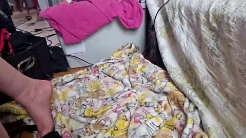 katladyzsafespace online show from 4, 12, 2025