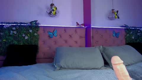 .... Katniss .... online show from 6, 1, 2025