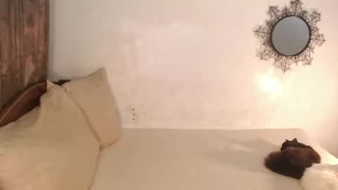 Snapshot of katrinathegreat chatting on 14, 3, 2026 katrinathegreat online show from 14, 3, 2026