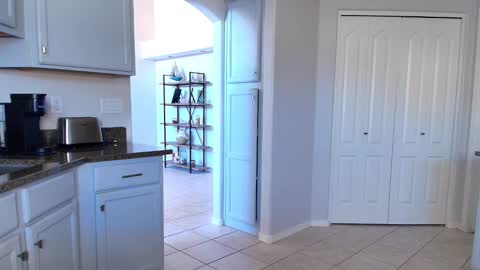 Snapshot of kats_a_tease chatting on 12, 2, 2026 Kat online show from 12, 2, 2026