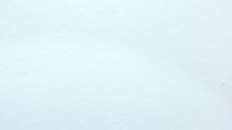 katy blonde girl and paola big boobs online show from 12, 12, 2024