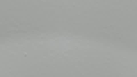 katy blonde girl and paola big boobs online show from 14, 12, 2024