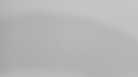 katy blonde girl and paola big boobs online show from 31, 1, 2025