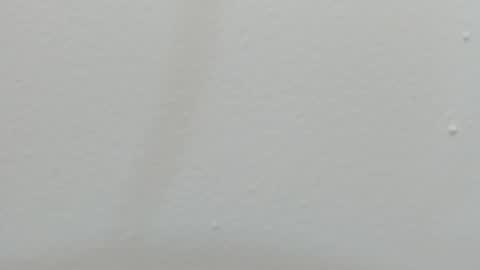 katy blonde girl and paola big boobs online show from 26, 2, 2025