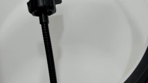 katy blonde girl and paola big boobs online show from 26, 9, 2025