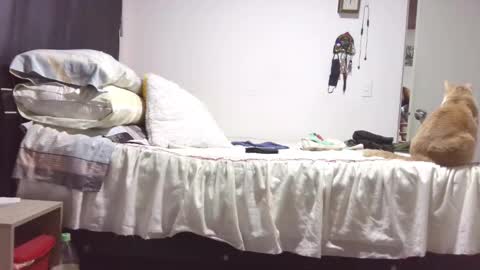  Khawit  online show from 29, 10, 2025