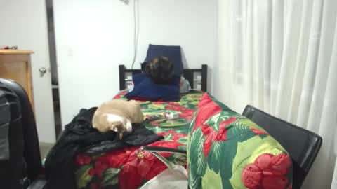 Snapshot of kawit1 chatting on 10, 1, 2026 Khawit online show from 10, 1, 2026