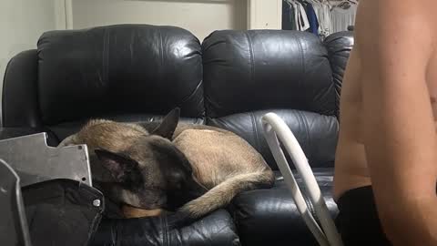 Dexter online show from 16, 2, 2025