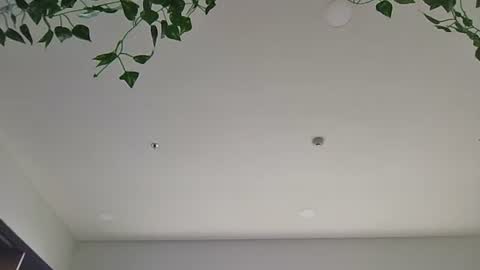 Sky-pure-Japanese online show from 7, 4, 2026