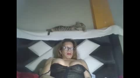 Snapshot of kelly_alisset chatting on 24, 9, 2025 kelly_alisset online show from 24, 9, 2025