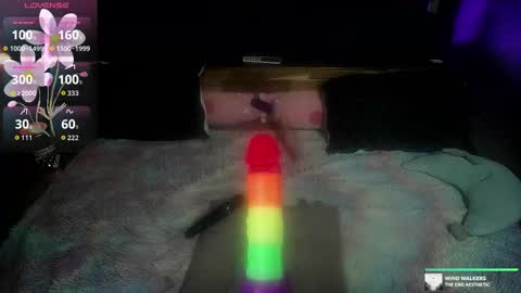 Kelly online show from 13, 11, 2025