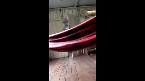 kelpejonh online show from 17, 3, 2026