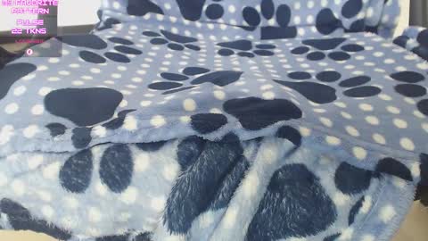 Kevin online show from 16, 12, 2025