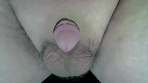Snapshot of kevitannn chatting on 5, 4, 2026 maggot online show from 5, 4, 2026