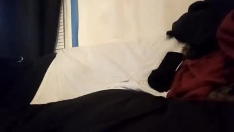 Snapshot of kickitwithfrankie chatting on 14, 1, 2026 Frankie online show from 14, 1, 2026