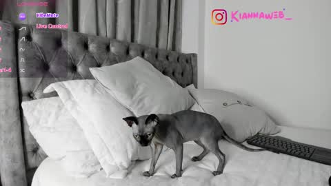 Snapshot of kiianna__ chatting on 28, 2, 2025 INSTAGRAM Kiannaweb  online show from 28, 2, 2025