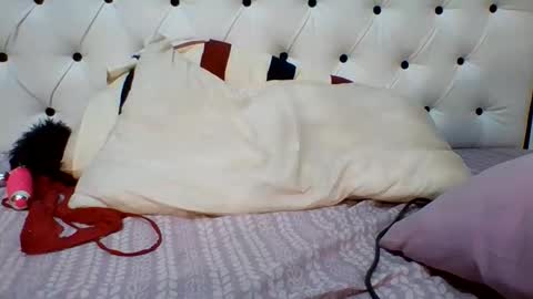 Kim online show from 24, 2, 2026